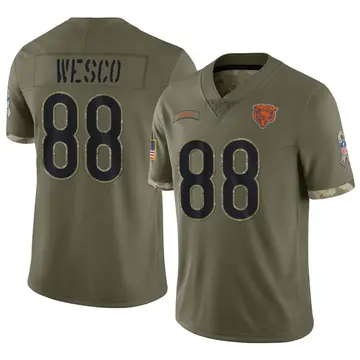 Nike Trevon Wesco Youth Limited Chicago Bears Olive 2022 Salute To Service Jersey
